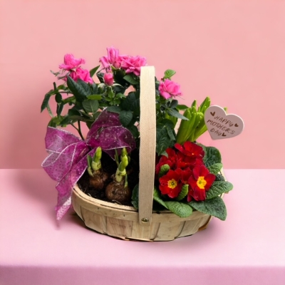 Planted Basket